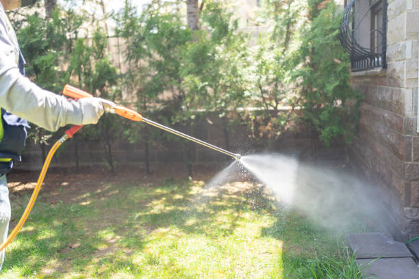 Best Pest Exclusion Services  in Occidental, CA